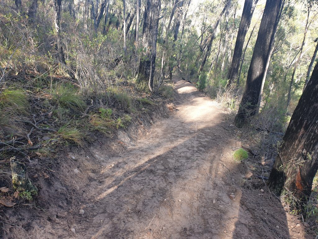 20190620_121225 Benching Grampians
