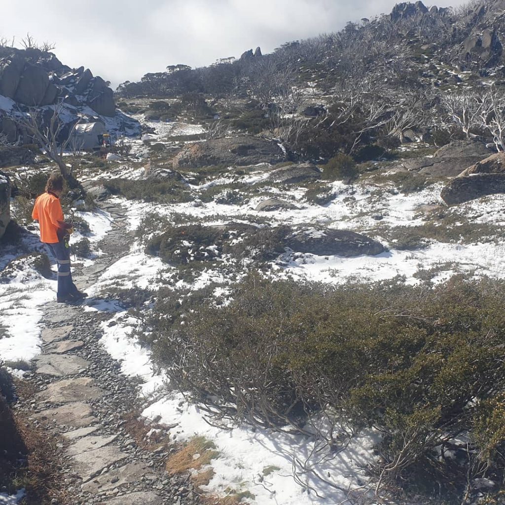 IMG_20210412_121317_881 Snowies Iconic Walks - Porcupine Rocks