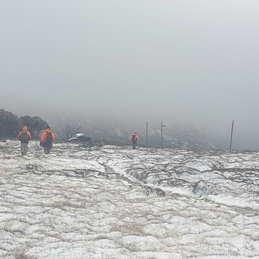 IMG_20210421_185941_186 Snowies Iconic Walks - Porcupine Rocks